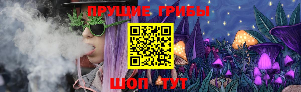 Медногорск  Галлюциногенные грибы Cubensis  Вход с VPN  Псилоцибиновые грибы прущие грибы 